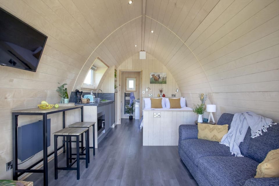 Bed, TV and multimedia, Kitchen or kitchenette, Living room, Photo of the whole room, Seating area, Dining area, Bedroom