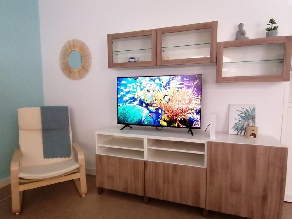 TV and multimedia
