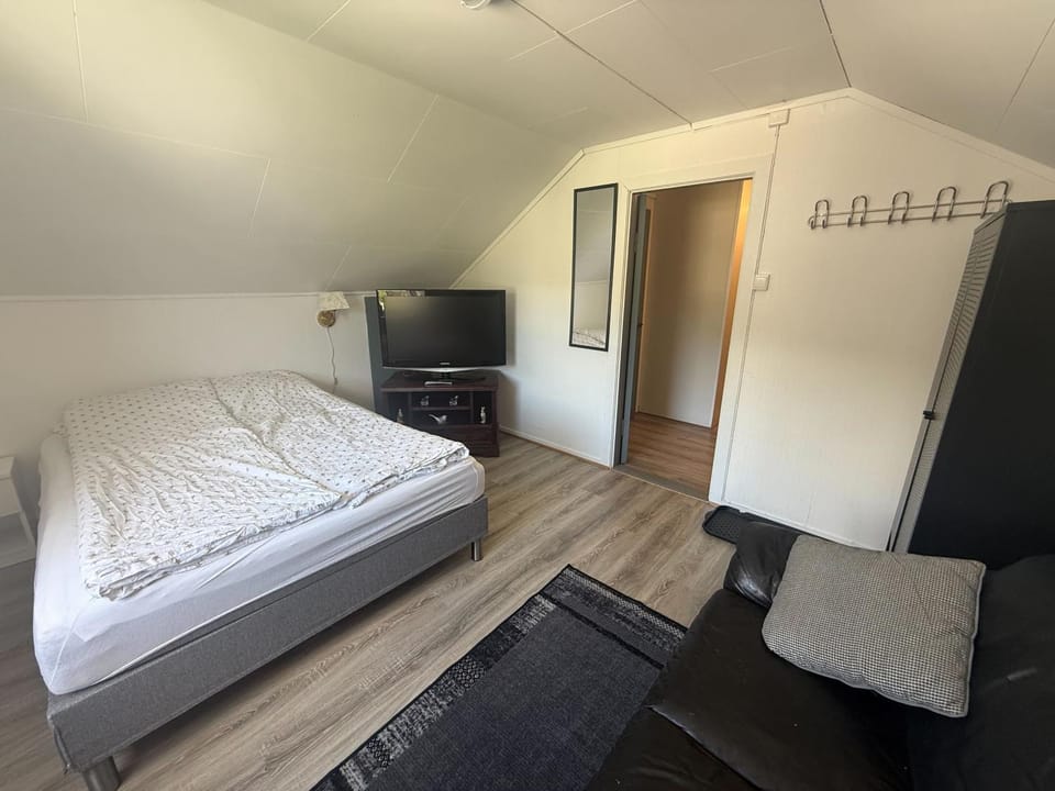 Bed, TV and multimedia, Photo of the whole room