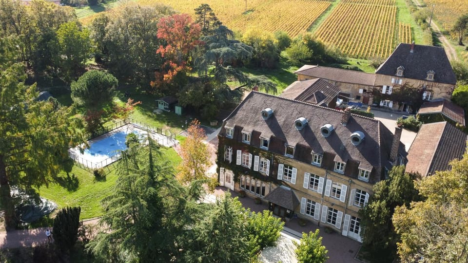 Property building, Natural landscape, Bird's eye view, Garden, Garden view, Swimming pool