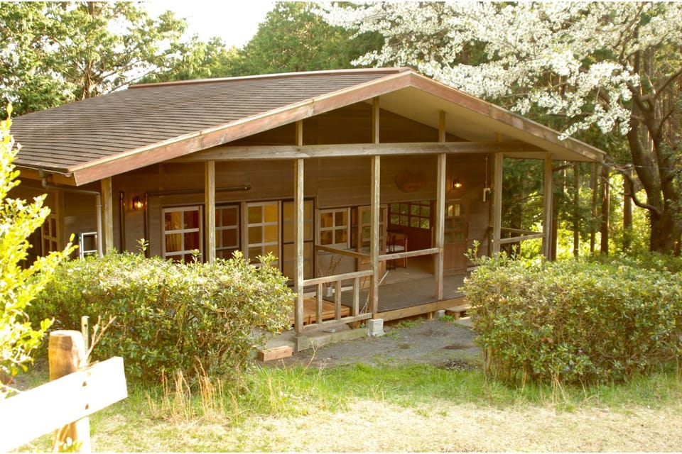 Property building, Day, Garden