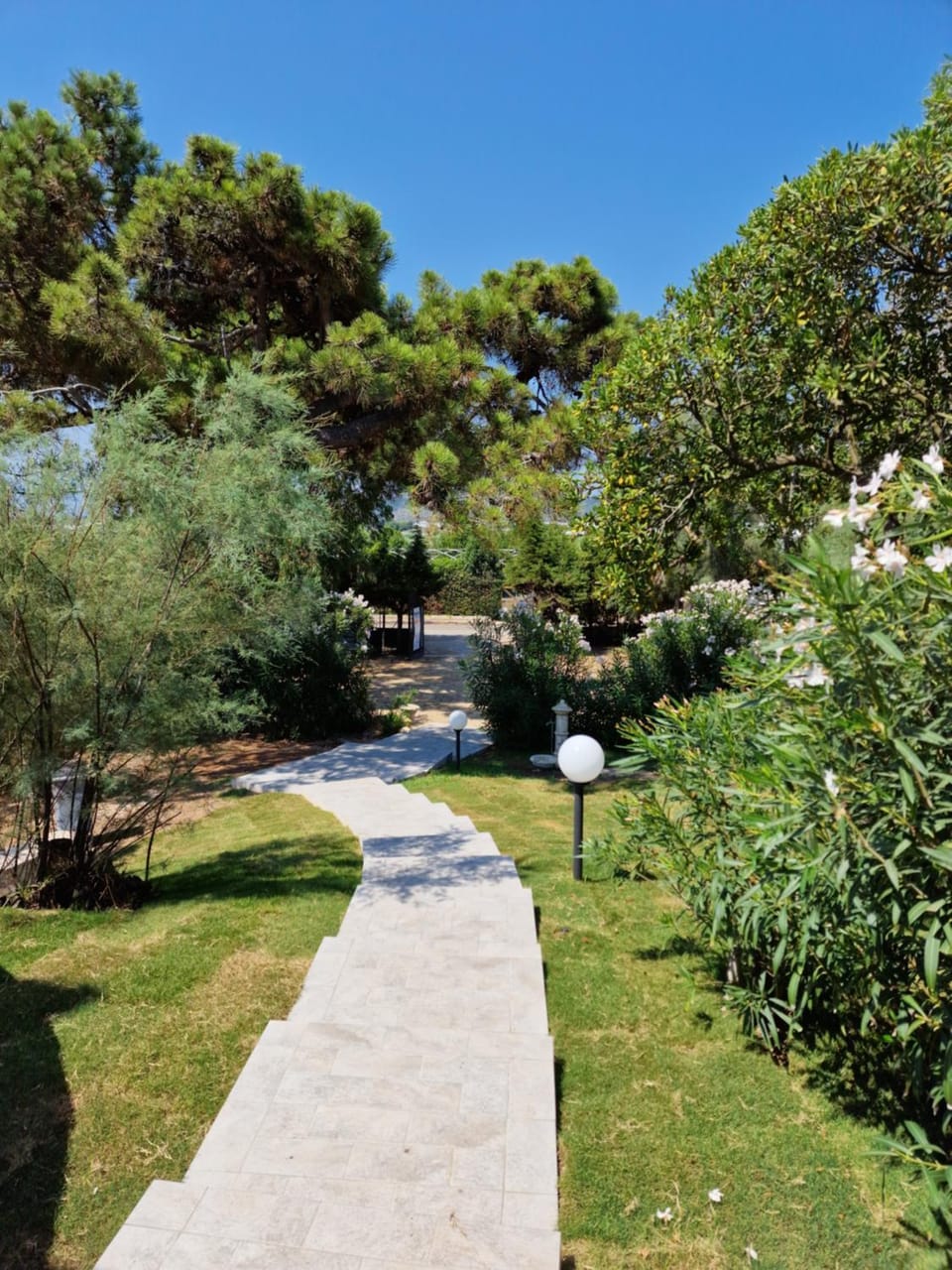 Garden view