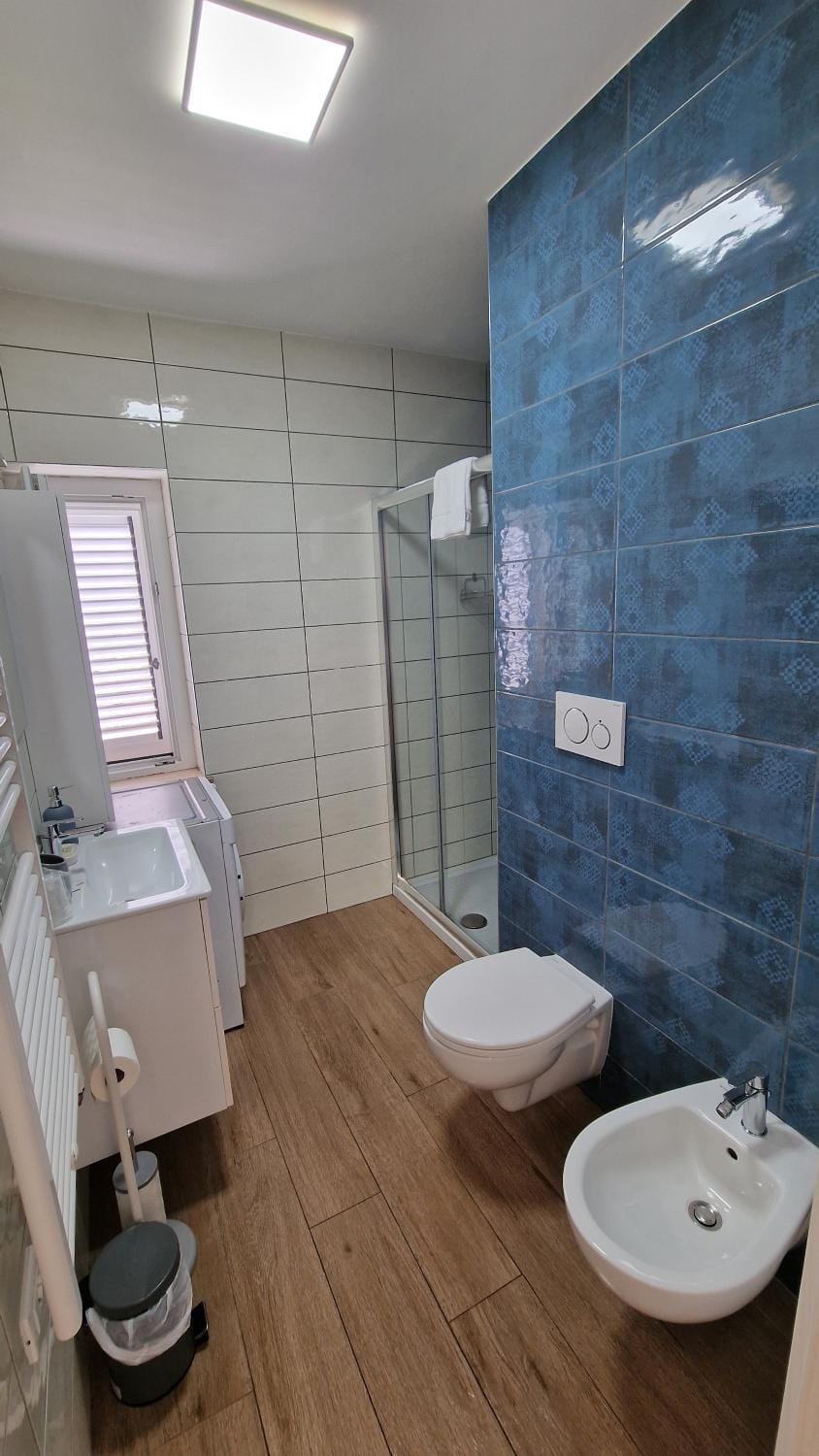 Shower, Toilet, Bathroom, bidet