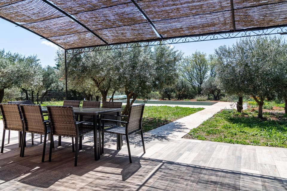 Patio, Garden