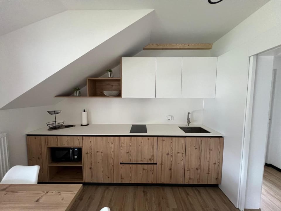 Hiša Rodica Apartment in Slovenia