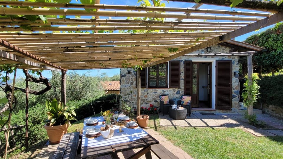 Day, Garden, Dining area