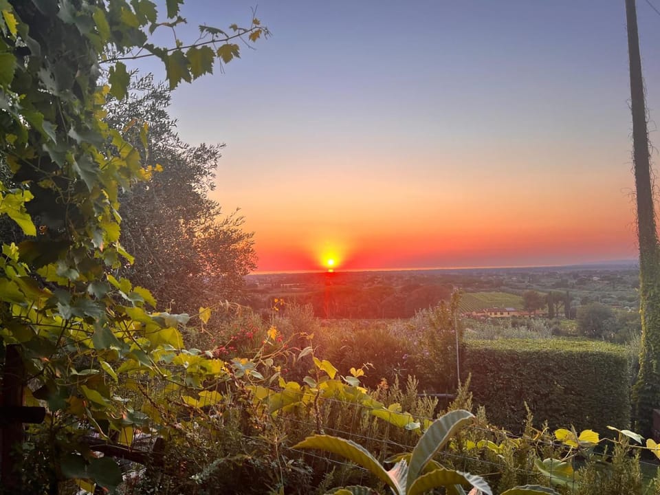 Agriturismo Villa Carducci House in Tuscany