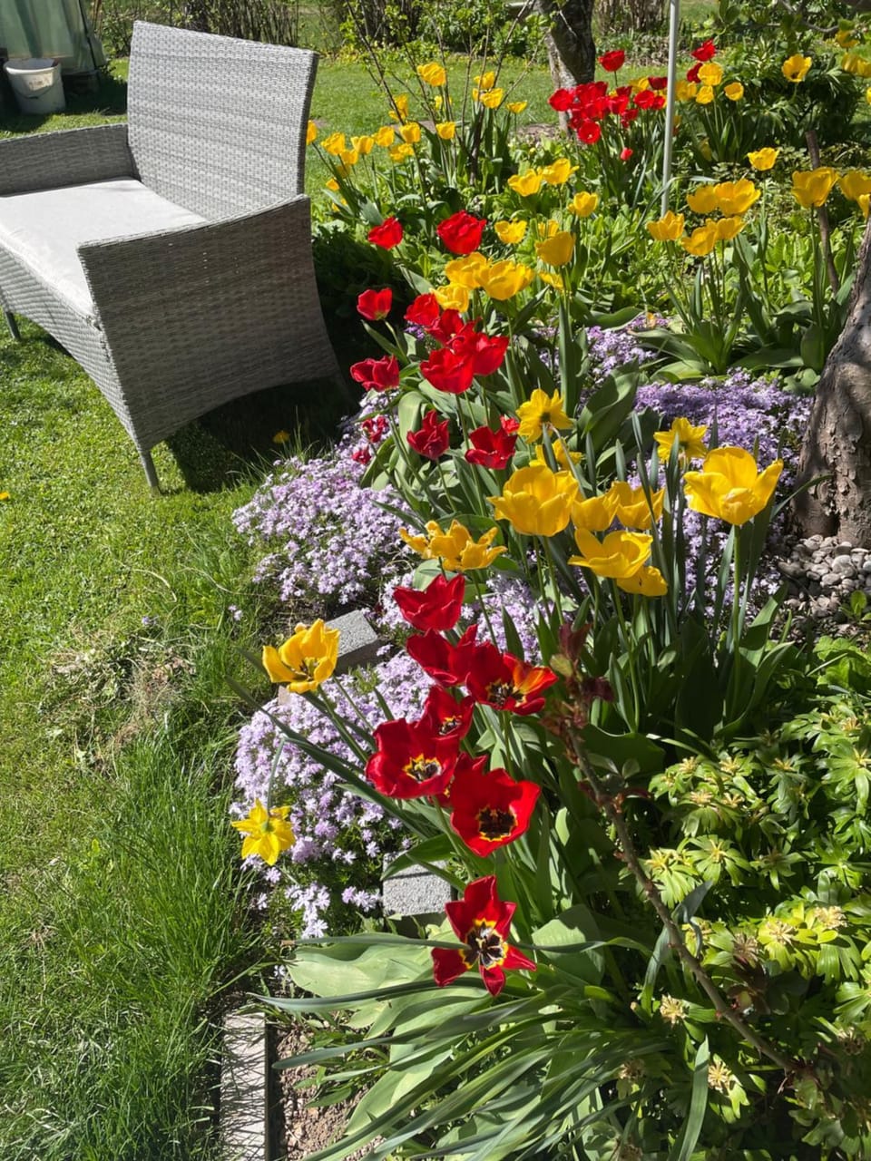 Garden view