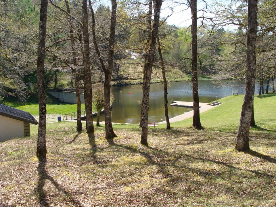Natural landscape, Garden, Lake view