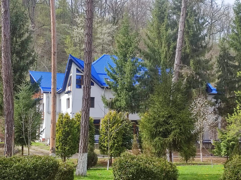 Hotel Parc Geoagiu Bai Hotel in Romania