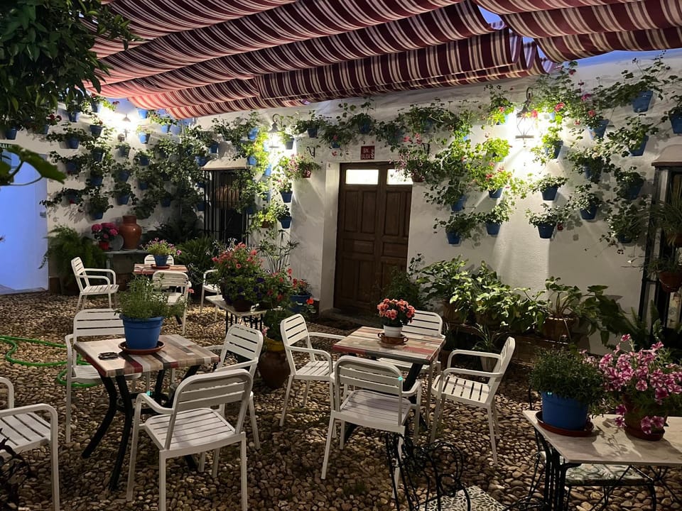 Patio, Night, Garden