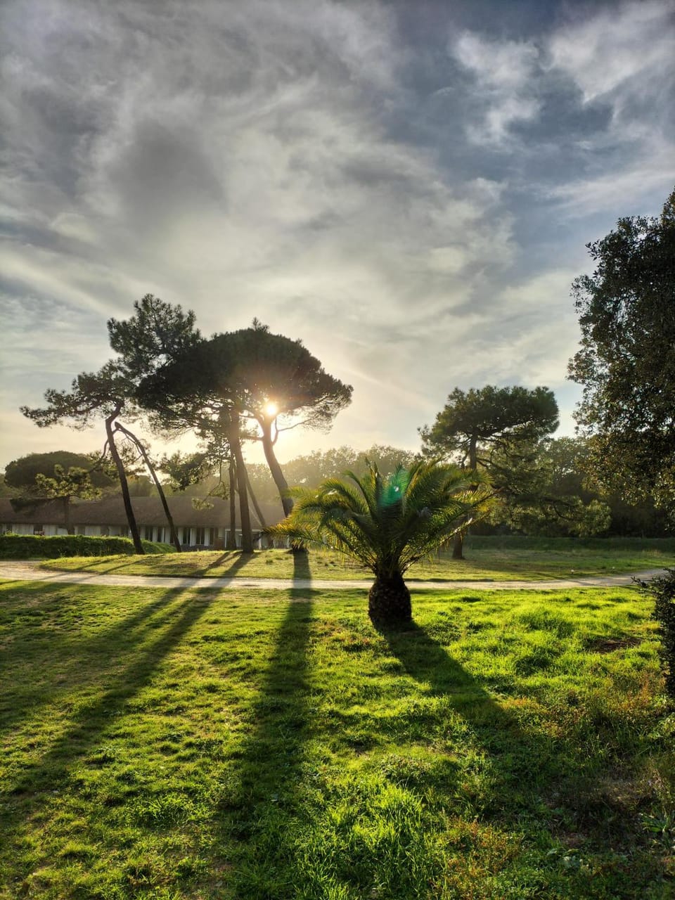 Natural landscape, Garden view