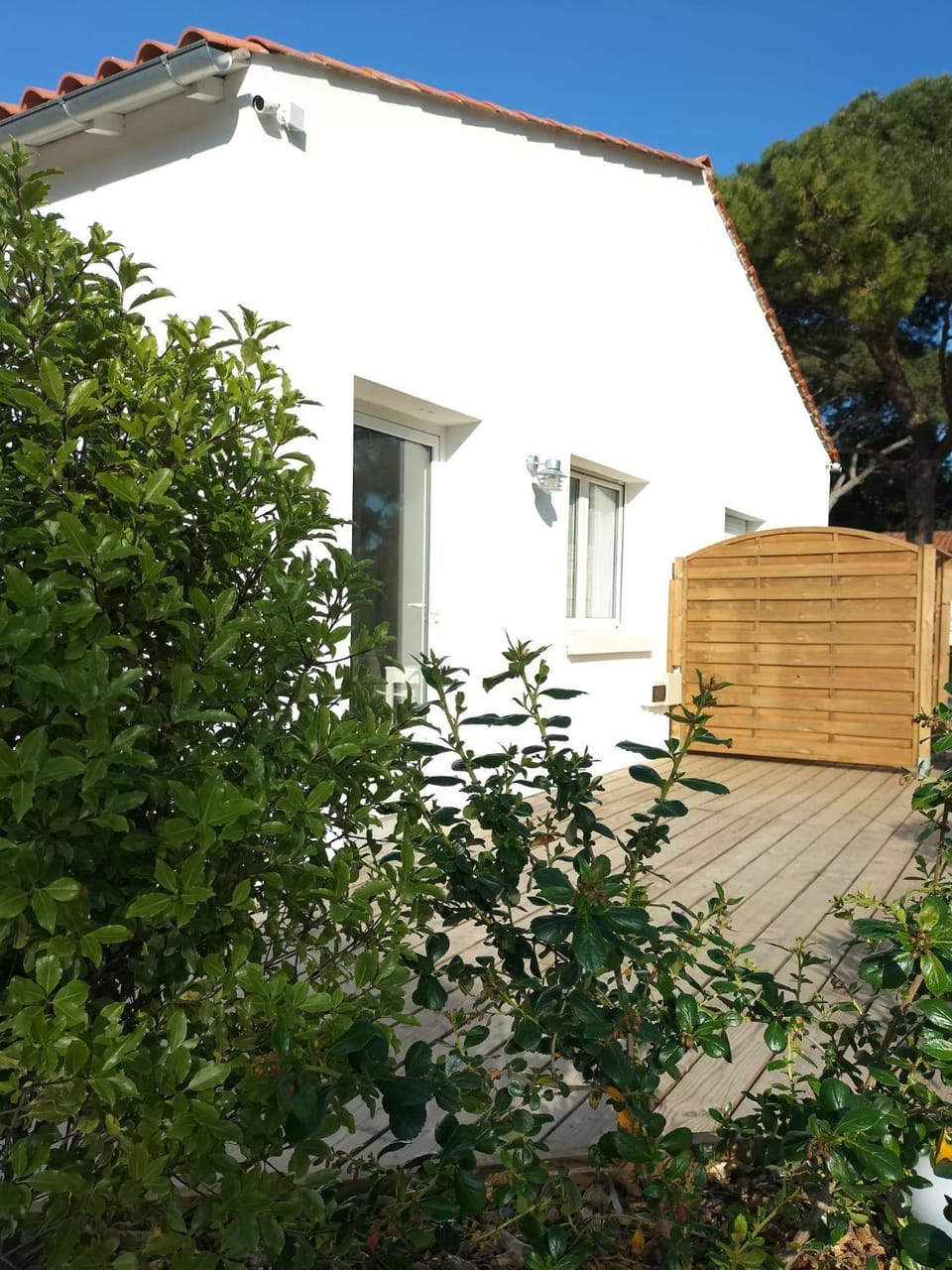 Balcony/Terrace, Garden view