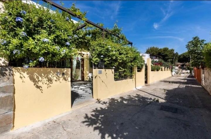 Facade/entrance, Garden