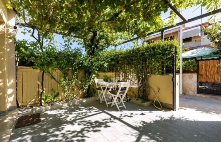 Garden, Garden view
