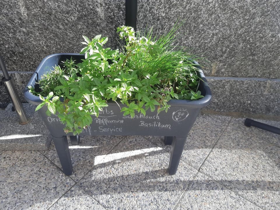 Spring, Summer