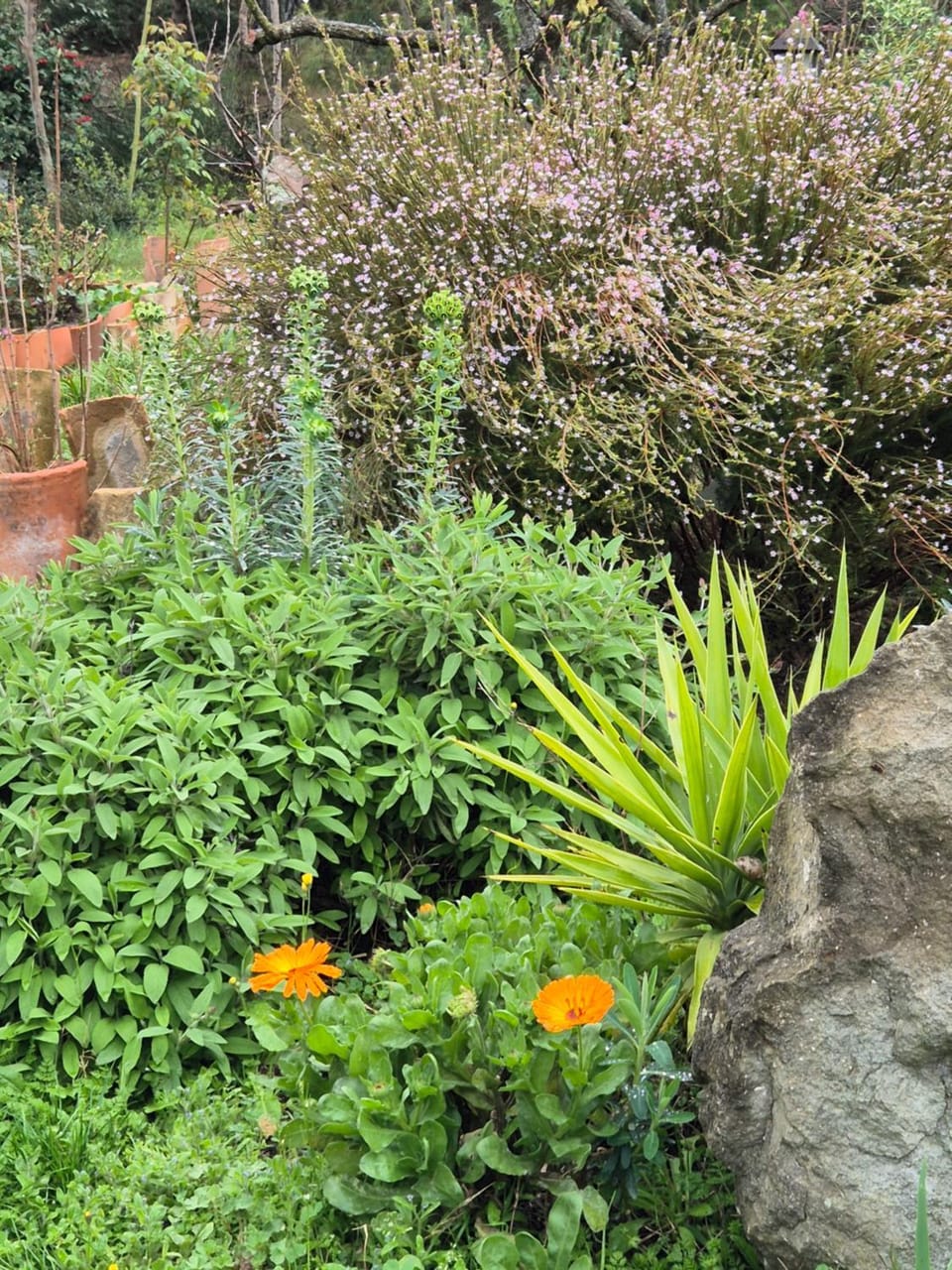 Spring, Garden
