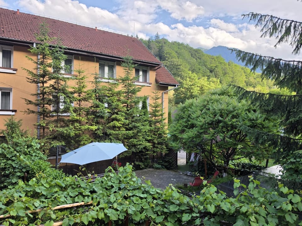 Motel “La Butuci” Motel in Brasov