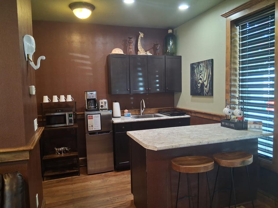 Safari: Downtown Jacksonville Apartment in Jacksonville