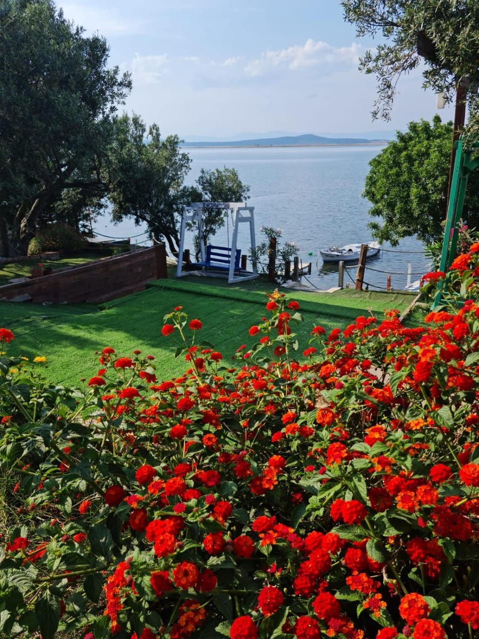 View (from property/room)