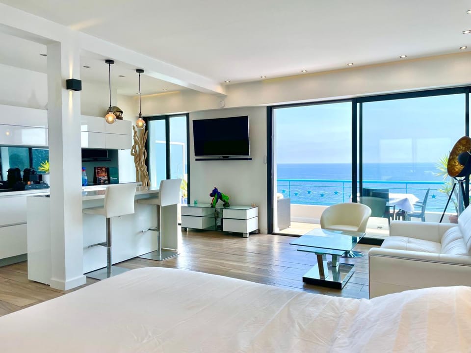 SEA VIEW TOP FLOOR - PROMENADE DES ANGLAIS Apartment in Nice