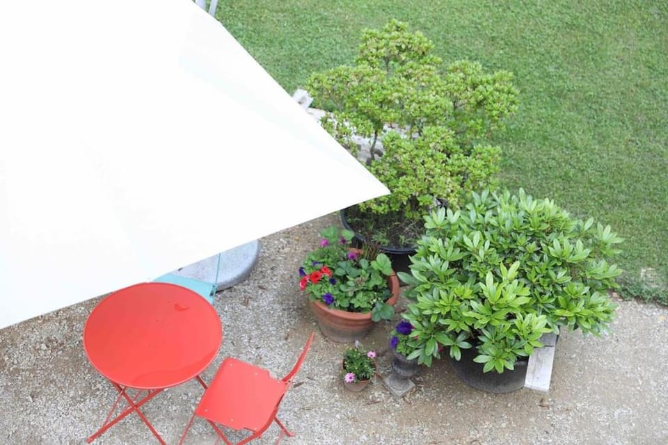 Garden, Balcony/Terrace