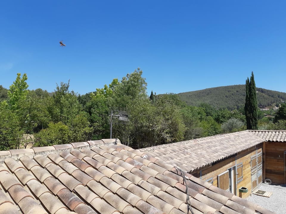 La Marie Blanche Country House in French Riviera