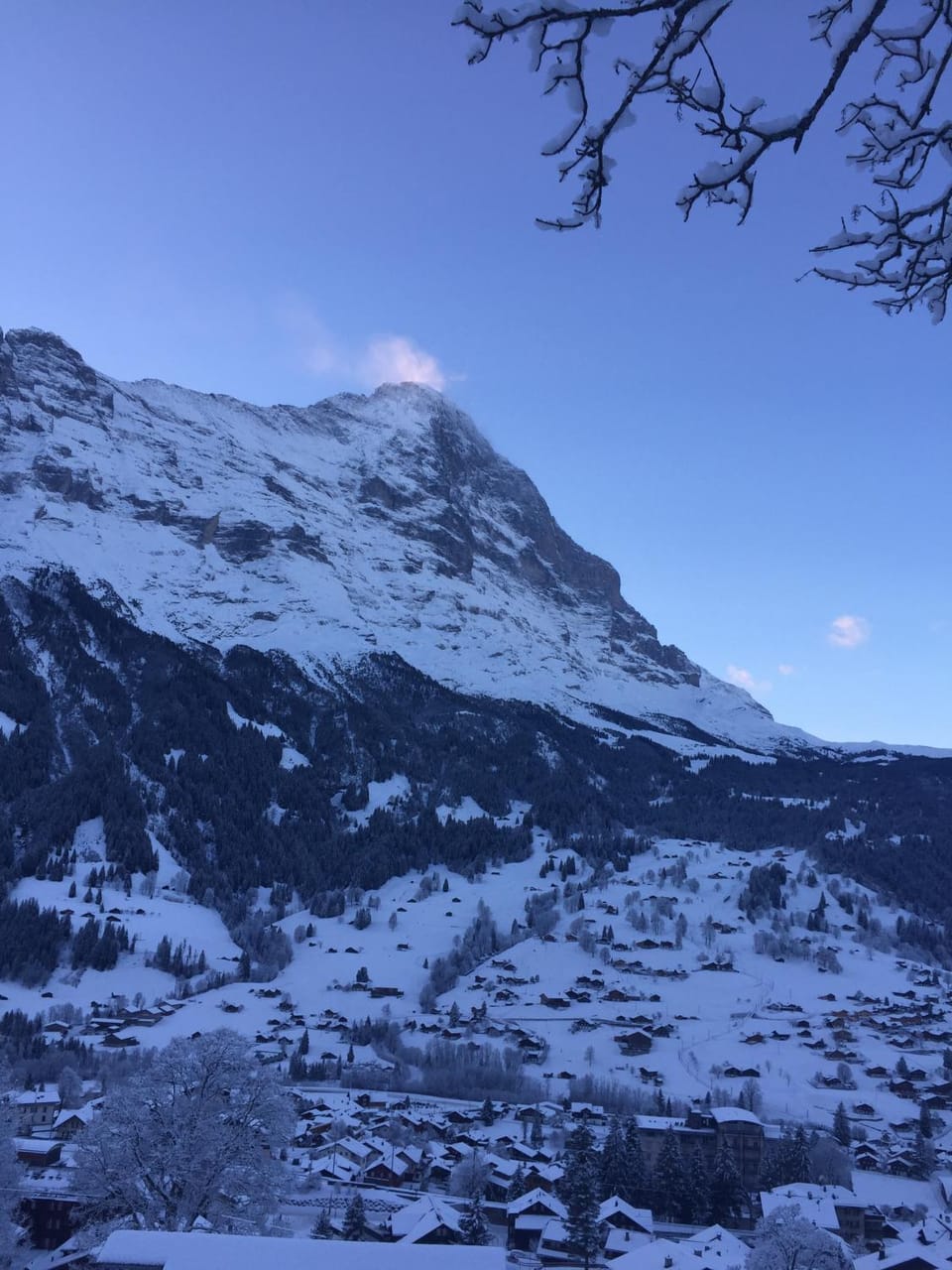 Natural landscape