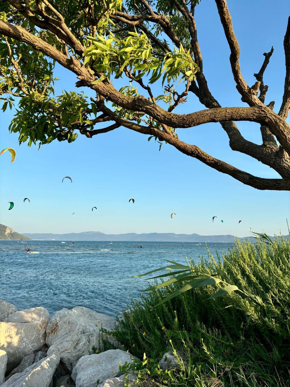Studio Calma Apartment in Dubrovnik-Neretva County