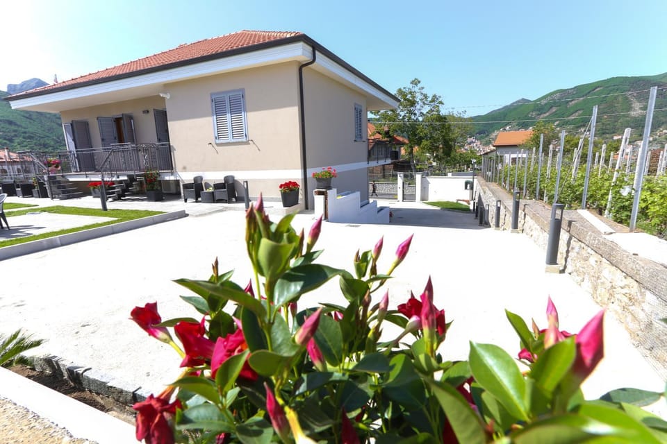 Property building, Patio, Garden