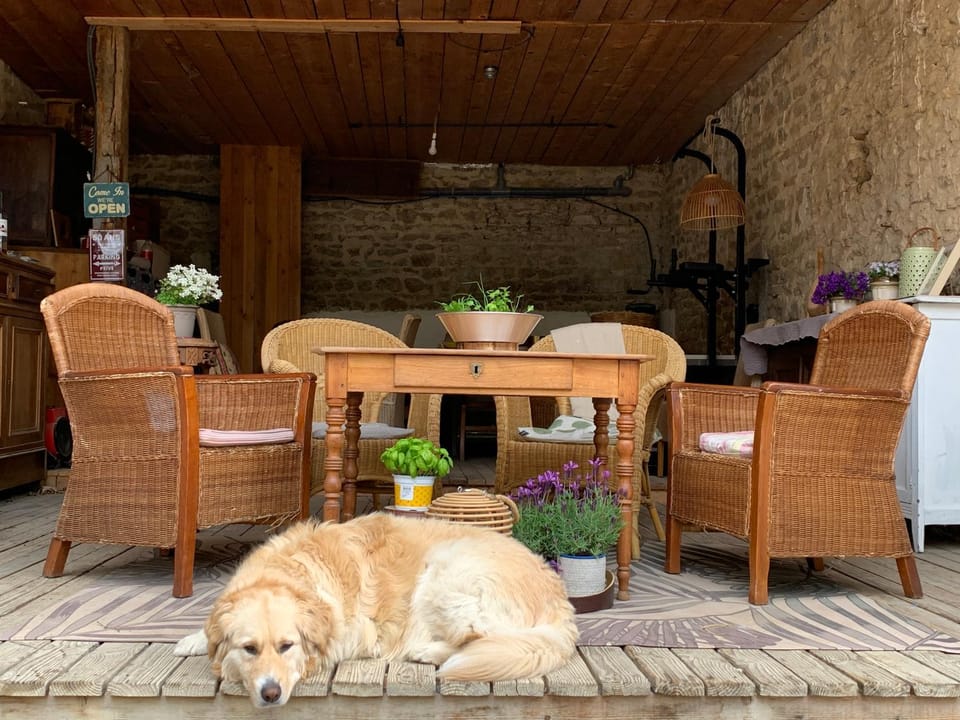 La Ferme du Puy d'Or Apartment in Auvergne-Rhône-Alpes