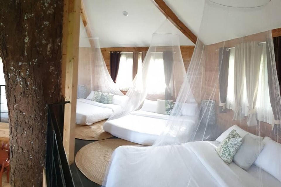 CAMP TREEHOUSE • COTTAGE • POOL • JACUZZI House in Antipolo