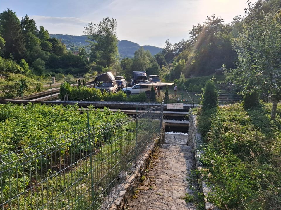 Day, Natural landscape, Garden, Garden, Garden view