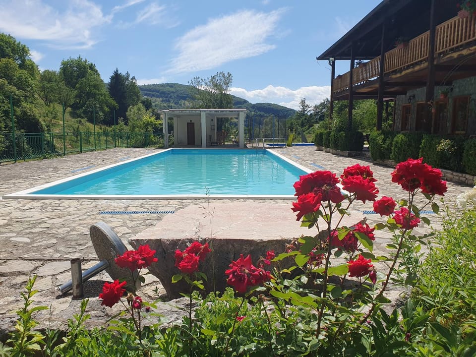 Day, Garden, Pool view, Swimming pool, Swimming pool