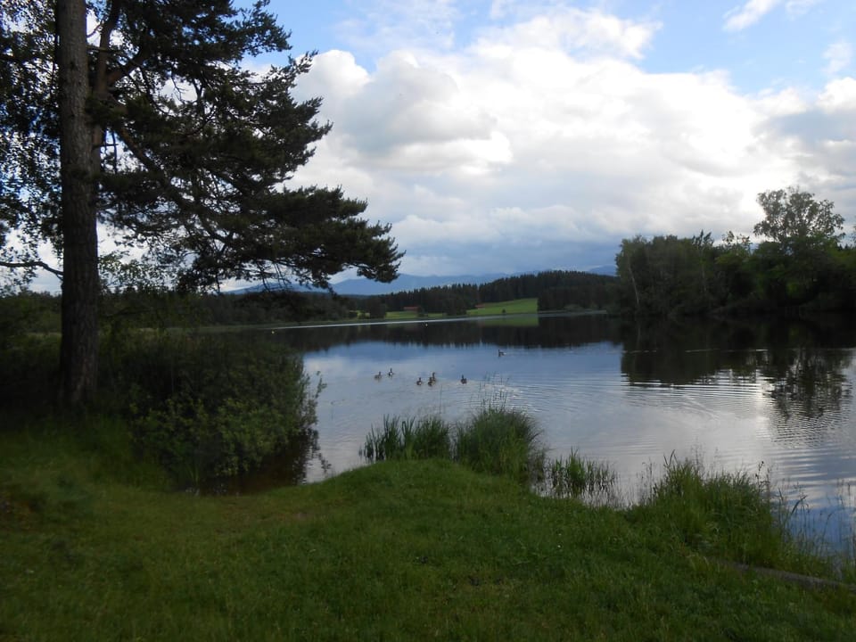 Ferienwohnung Huber am Deutensee Apartment in Bavaria