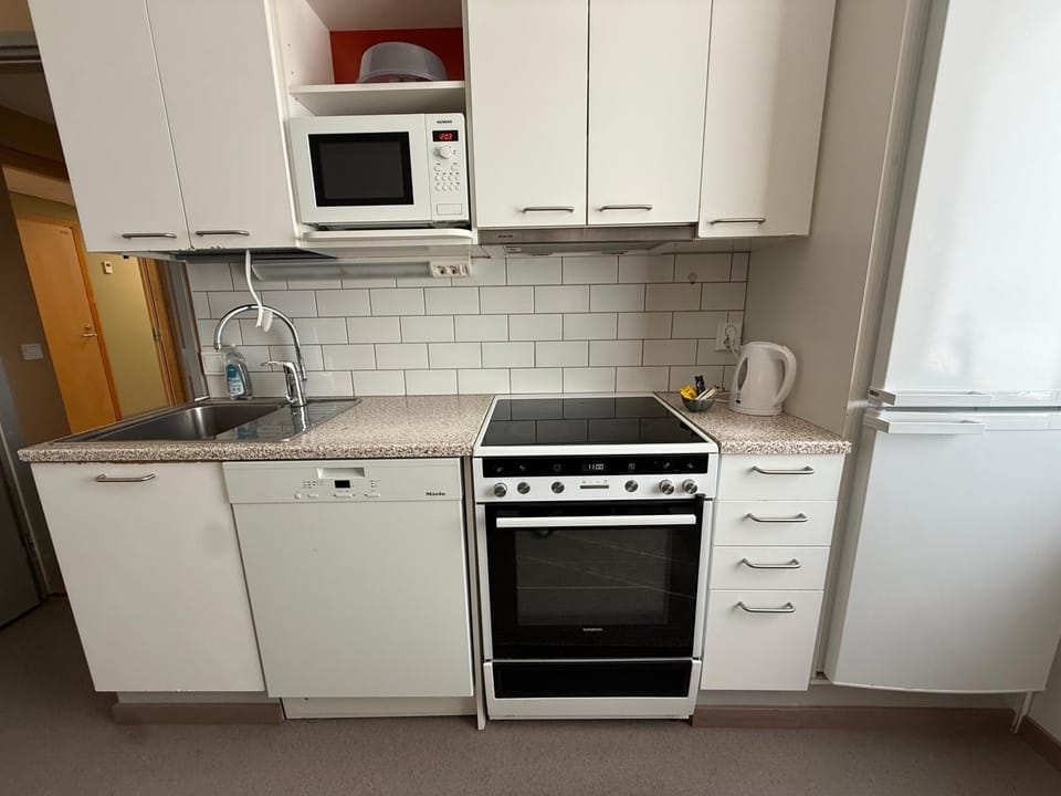 Kitchen or kitchenette, dishwasher, oven, stove