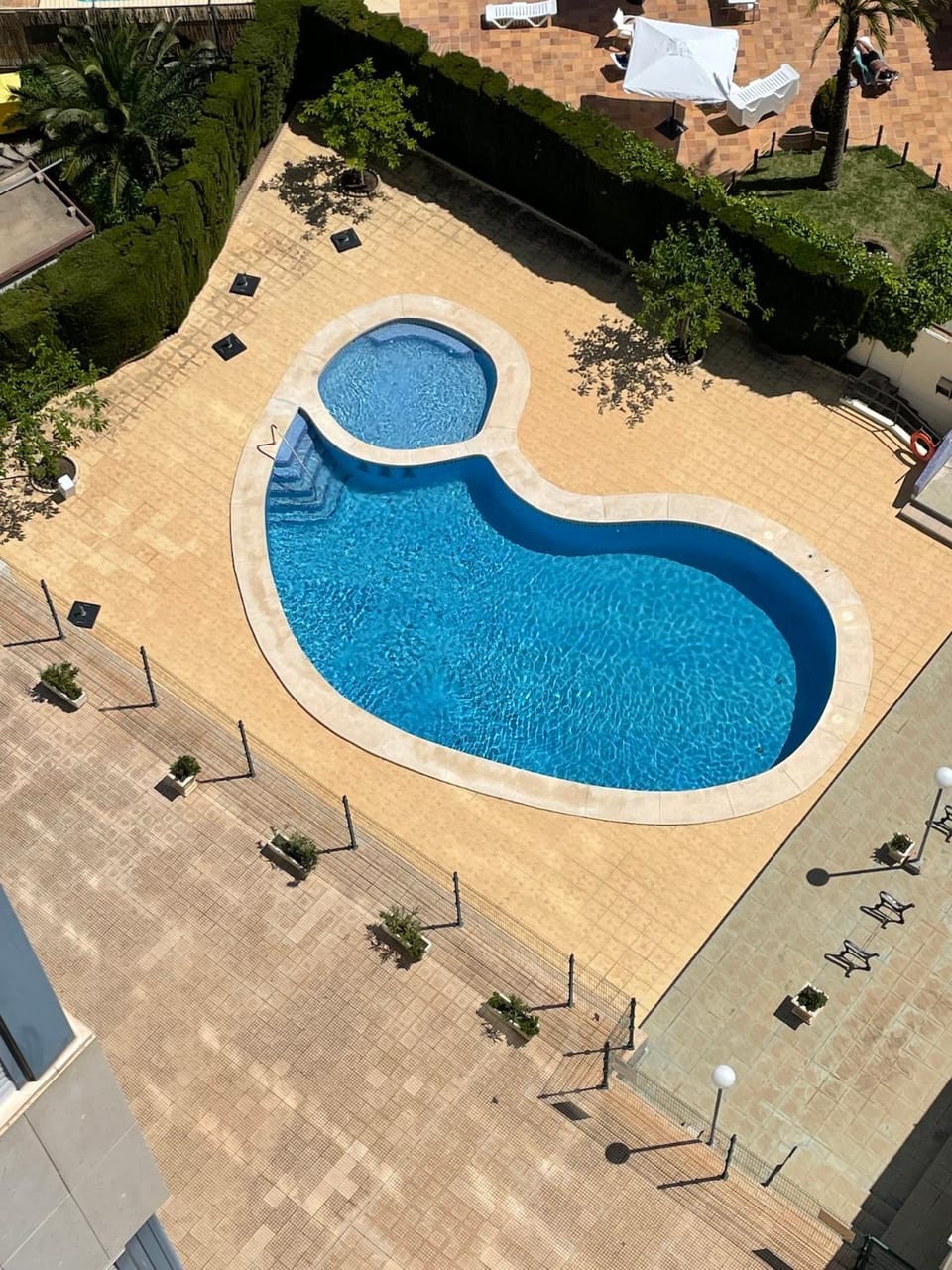 Garden, Pool view, Swimming pool
