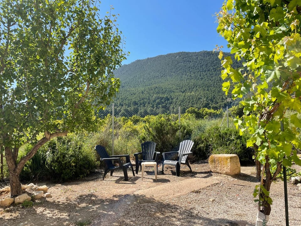 View (from property/room)