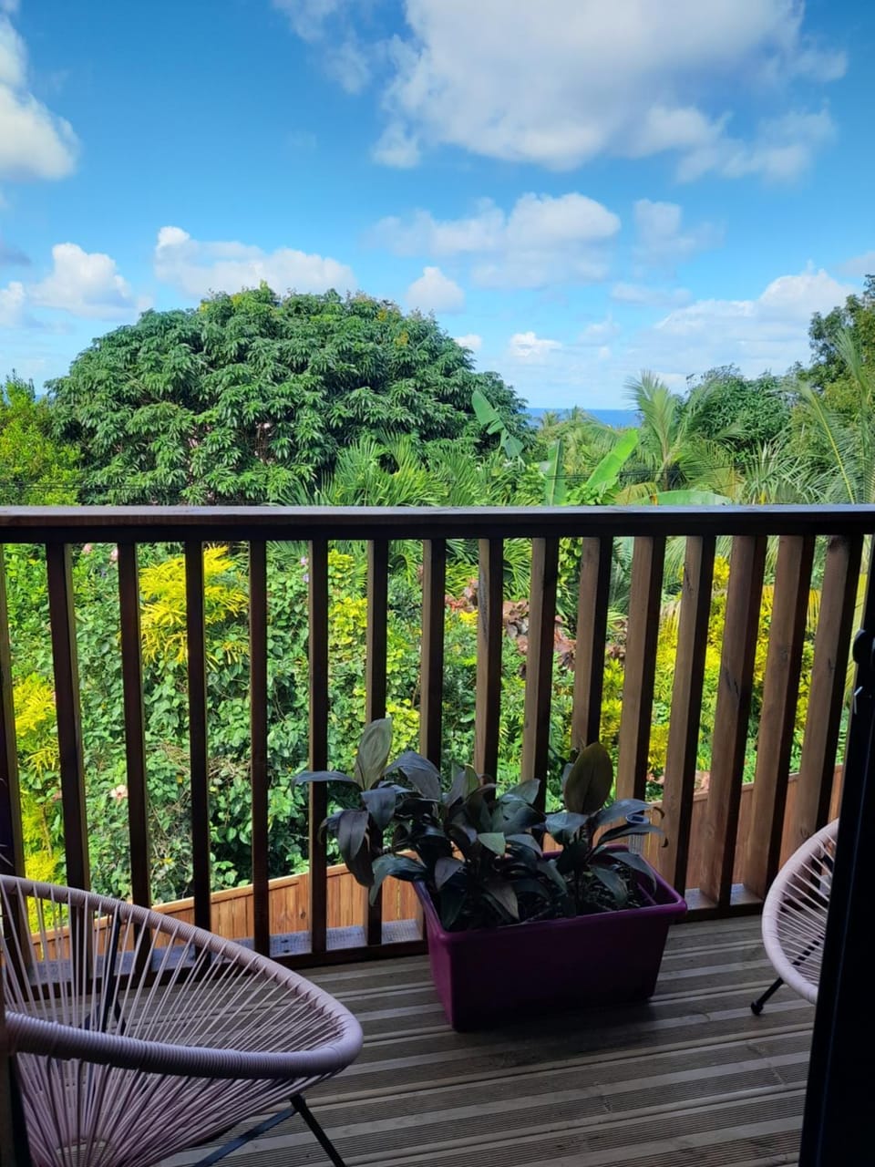 View (from property/room)