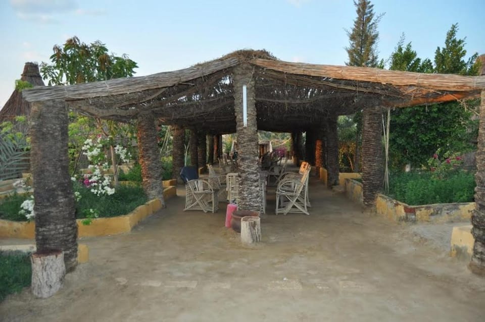 Badry Sahara Camp Campground/ 
RV Resort in Egypt