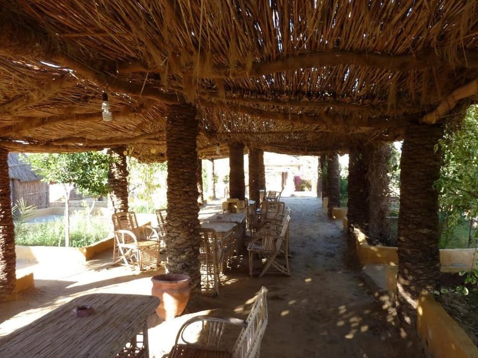 Badry Sahara Camp Campground/ 
RV Resort in Egypt