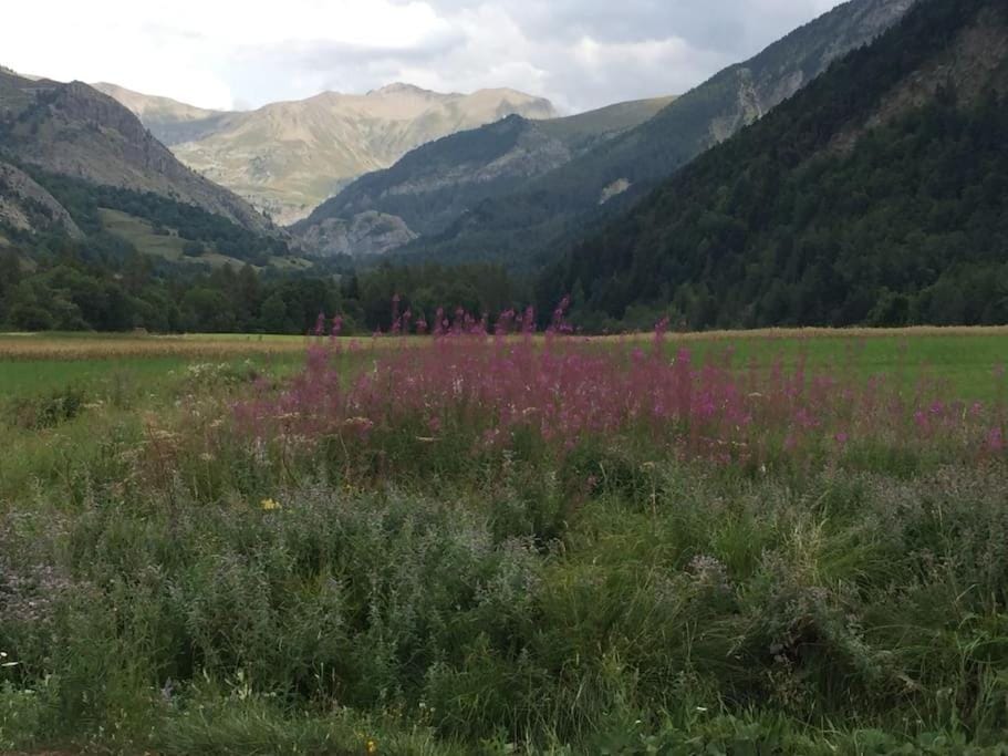 Appart très ensoleillé 5-6 pers au pied des pistes Apartment in Provence-Alpes-Côte d'Azur