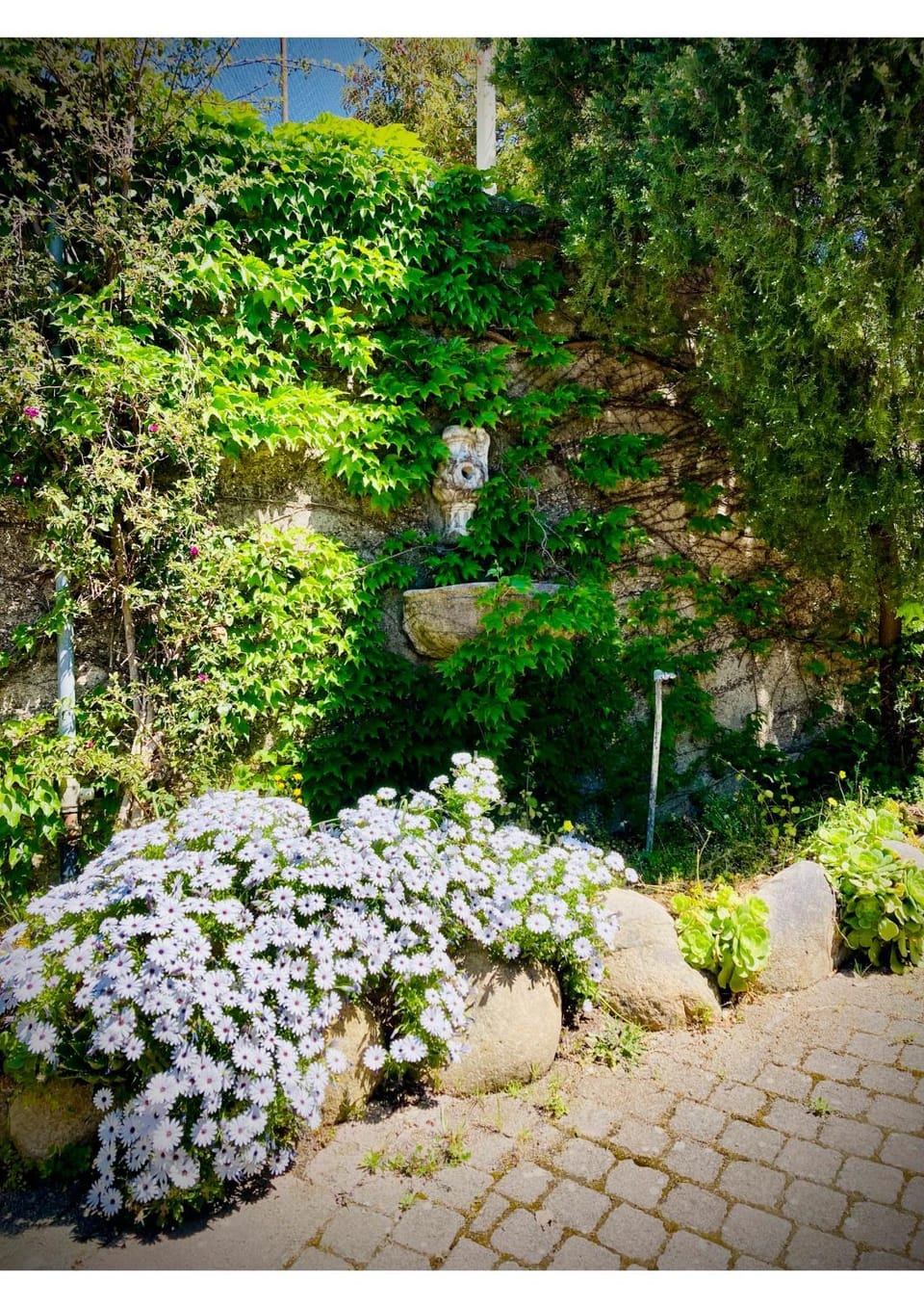 Facade/entrance, Garden, View (from property/room)