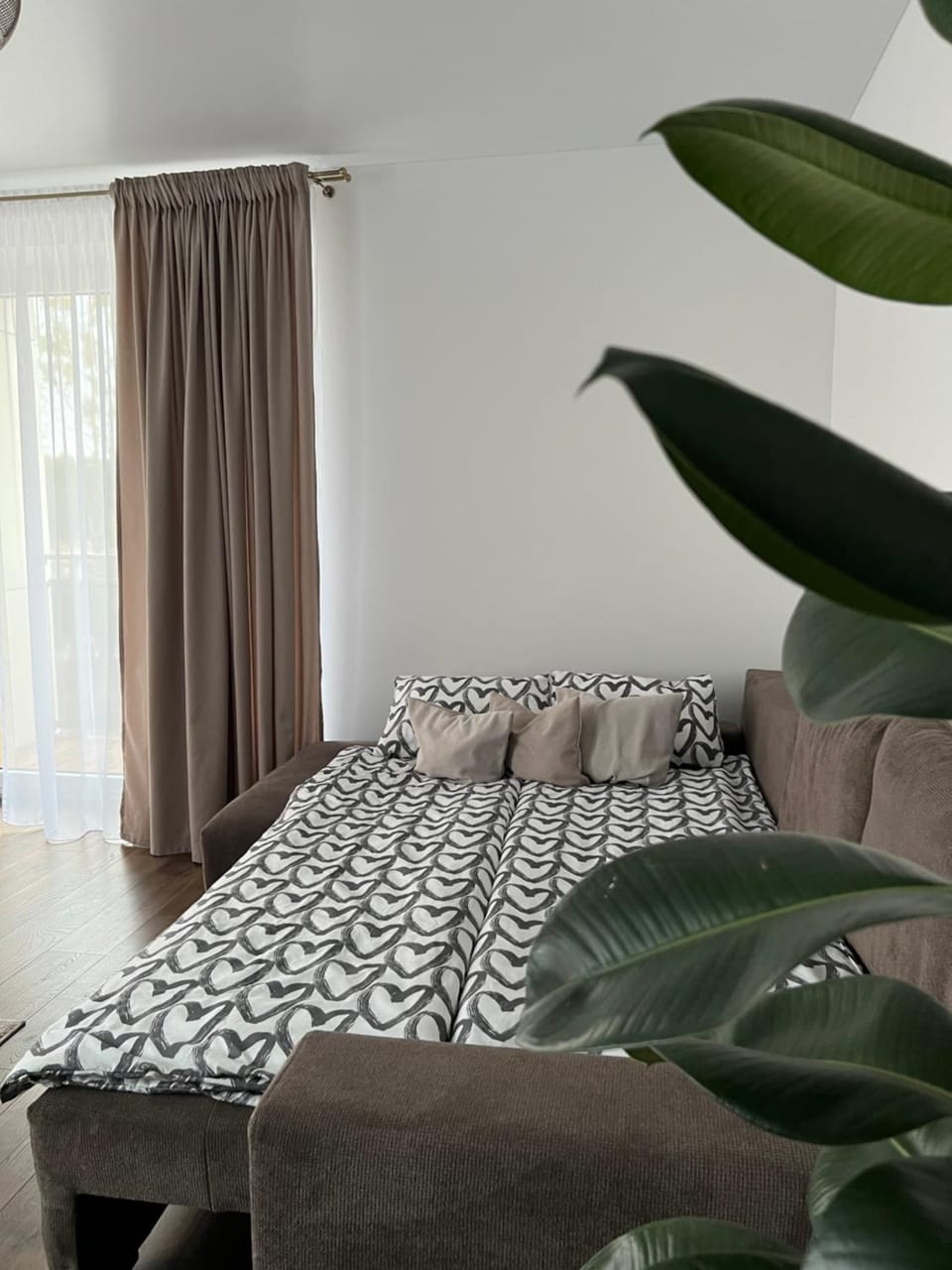 Bed, Photo of the whole room