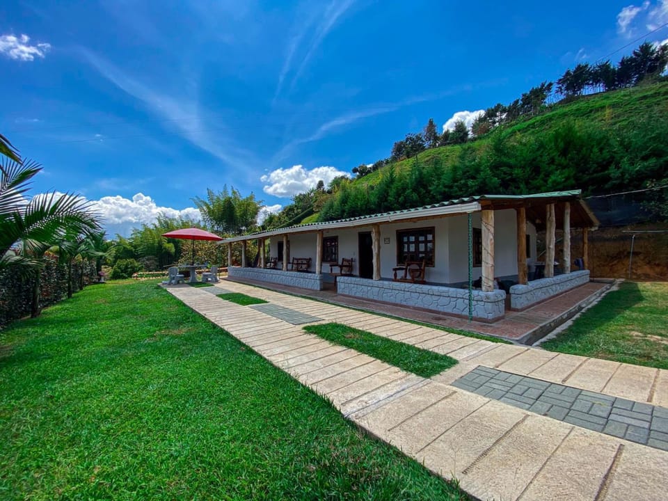 Spring, Natural landscape, Garden, Garden view