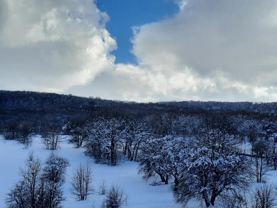 Winter, Mountain view