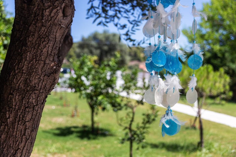 Day, Natural landscape, Garden, Garden view