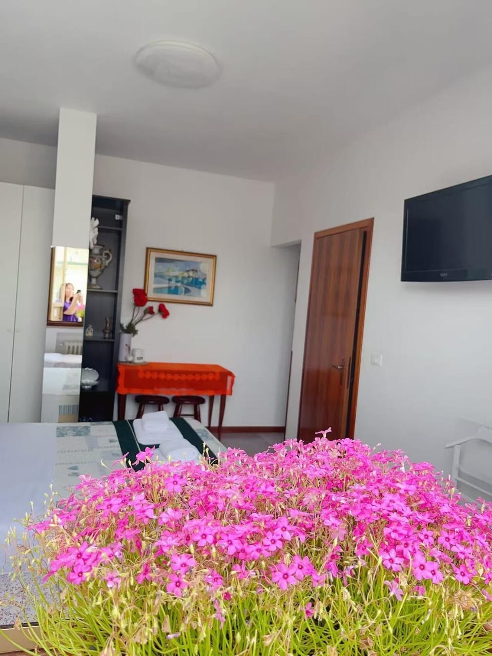 Sogna Venezia Apartment in Venice