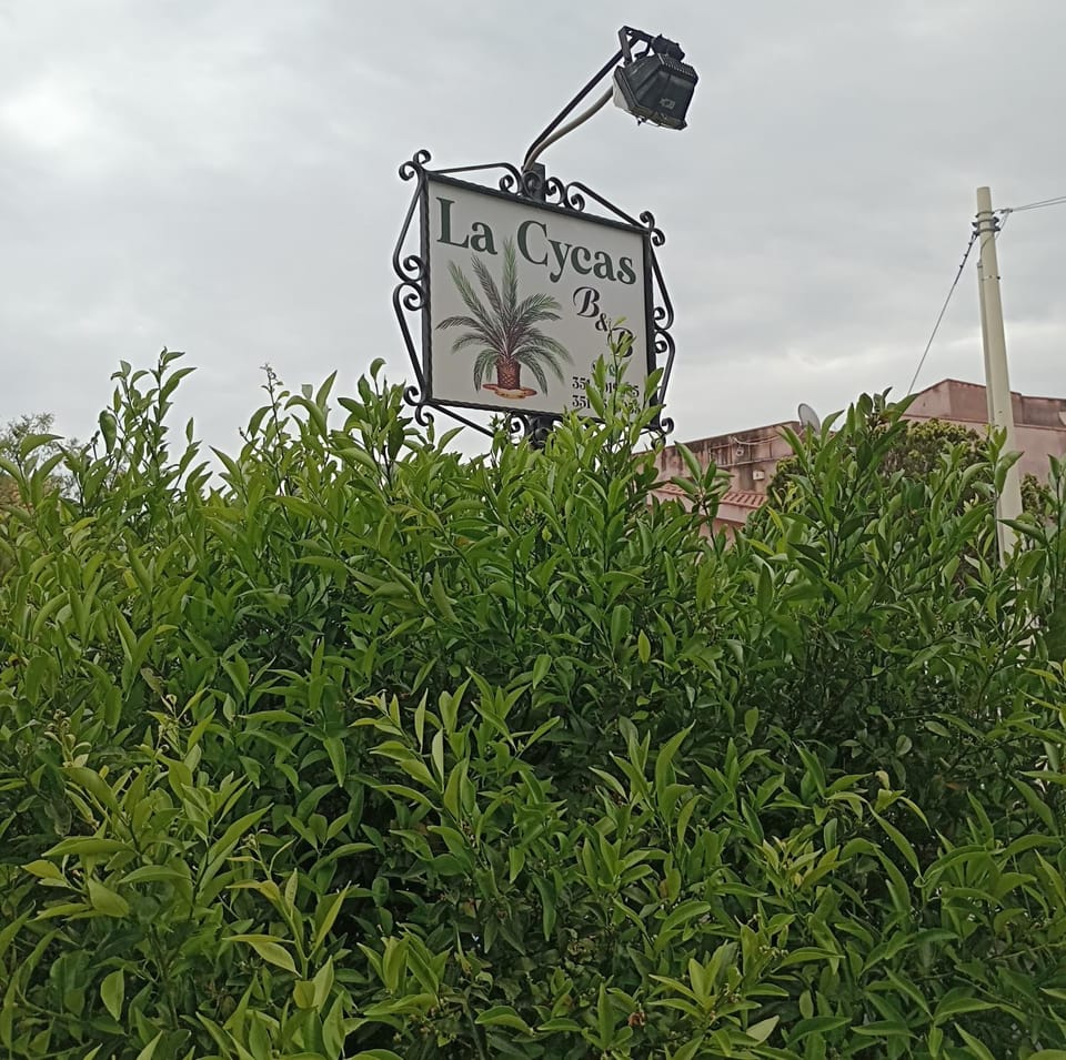Day, Garden view