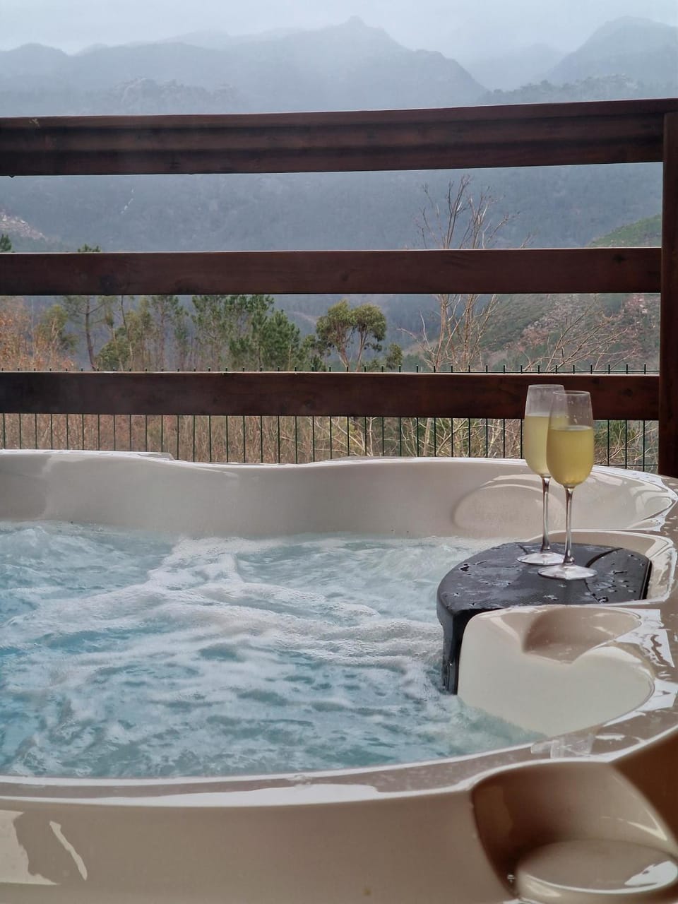 Natural landscape, Hot Tub, Hot Tub, View (from property/room), Mountain view